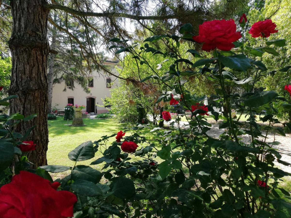B&B Casa Manuela Mantova Exterior photo